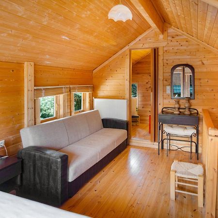 Zeus-Village Οικισμός Φινλανδικών Chalet Με Πισίνες & Γυμναστήριο Mólosz Kültér fotó